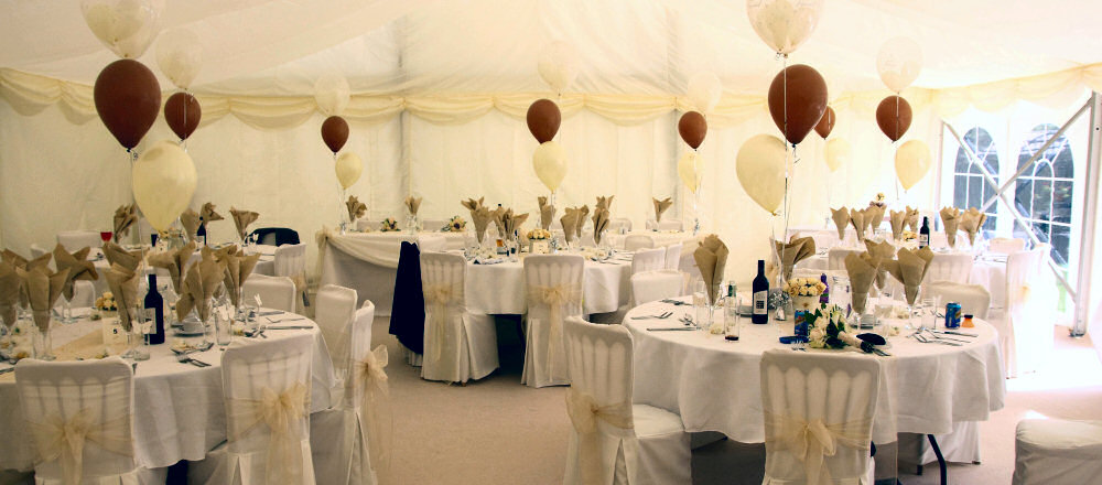 Marquee wedding party