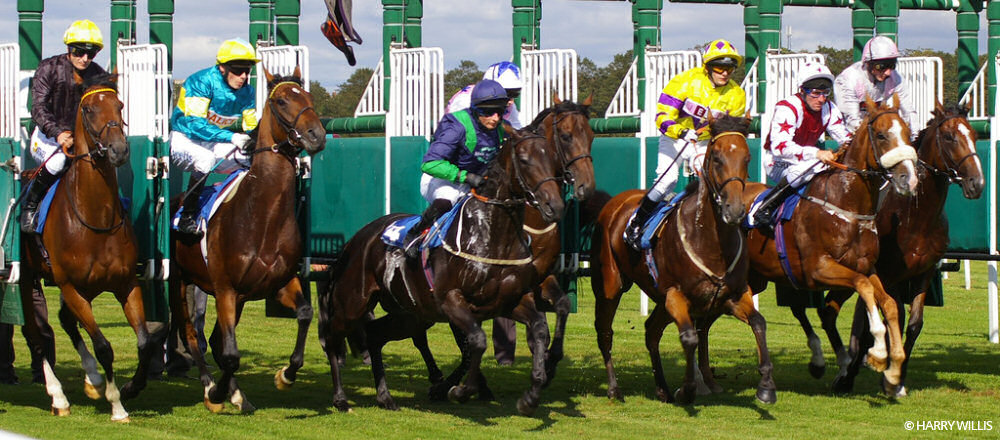 Racing at York